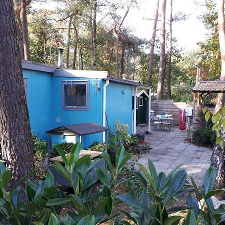 Boshuis Turquoise / Smaakvol Genieten Op De Veluwe 헨덜루 외부 사진