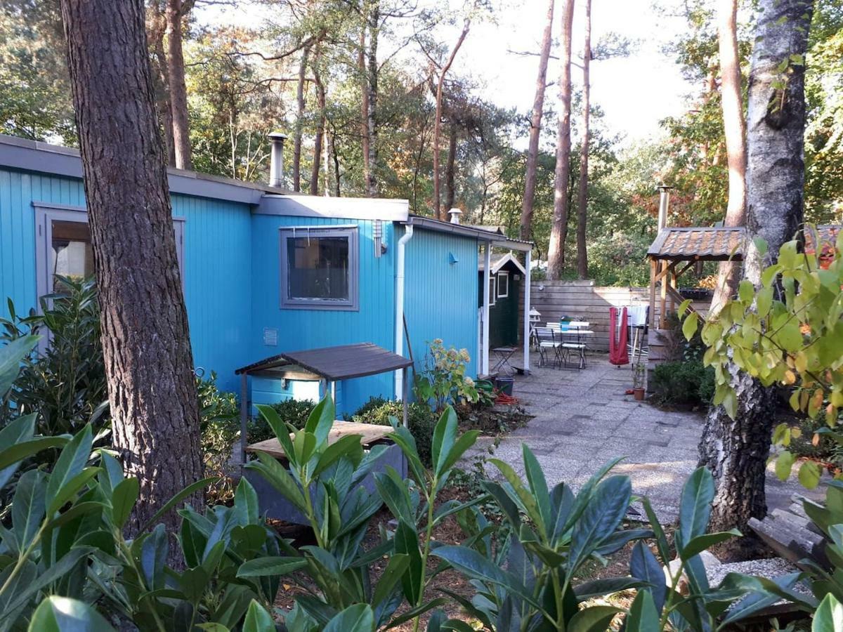 Boshuis Turquoise / Smaakvol Genieten Op De Veluwe 헨덜루 외부 사진