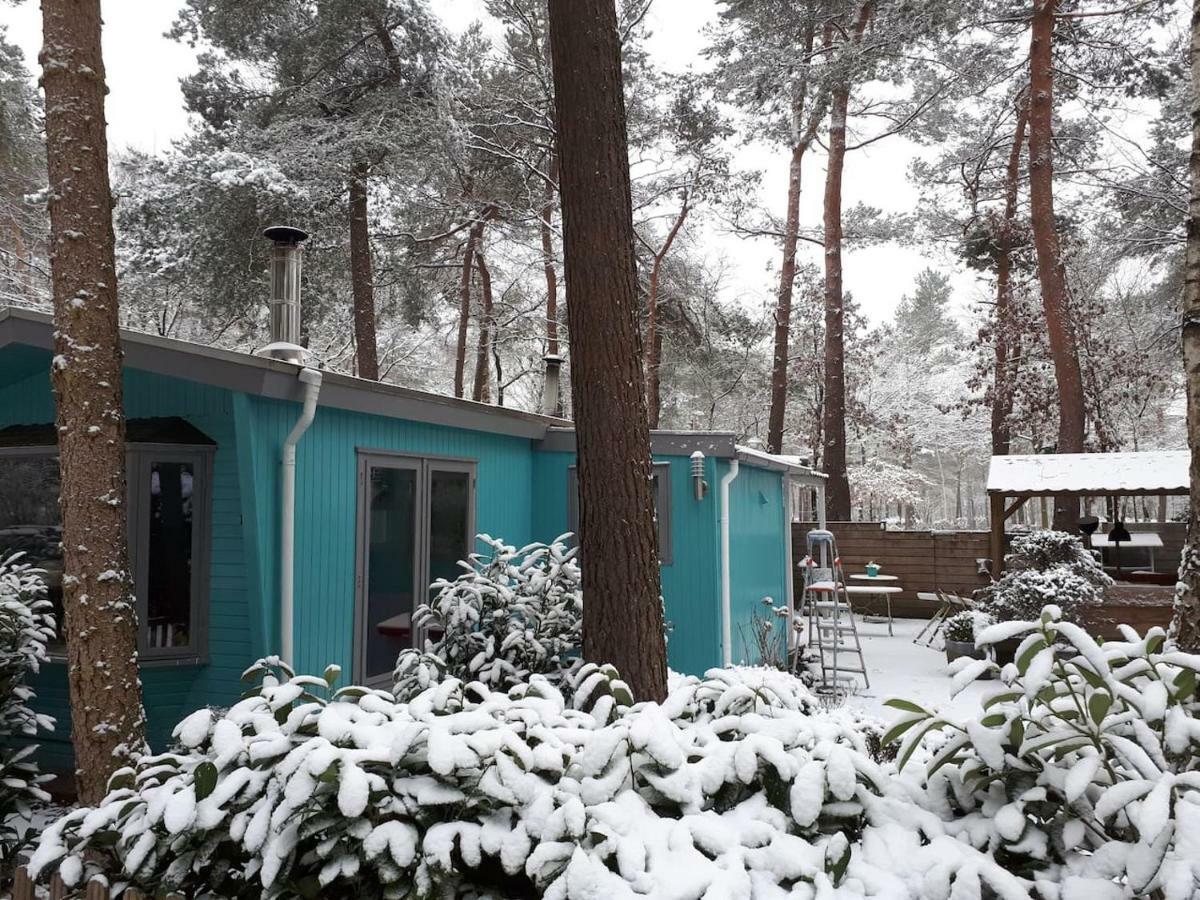 Boshuis Turquoise / Smaakvol Genieten Op De Veluwe 헨덜루 외부 사진