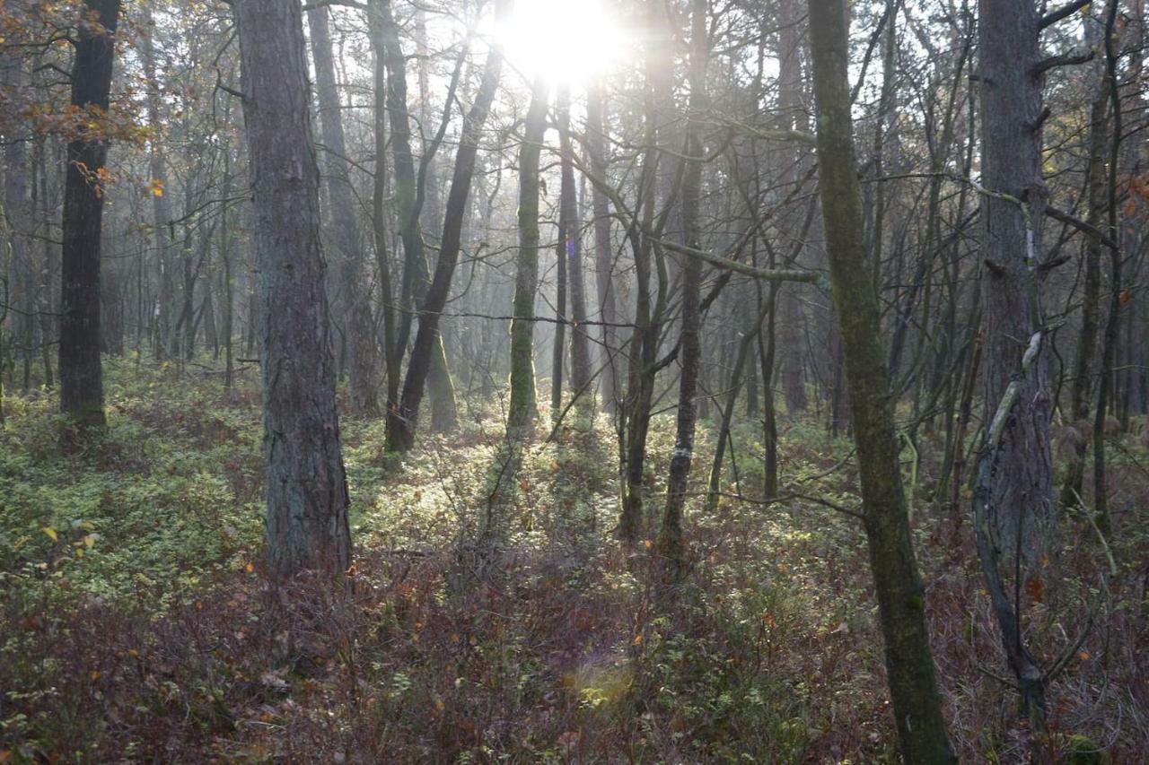 Boshuis Turquoise / Smaakvol Genieten Op De Veluwe 헨덜루 외부 사진