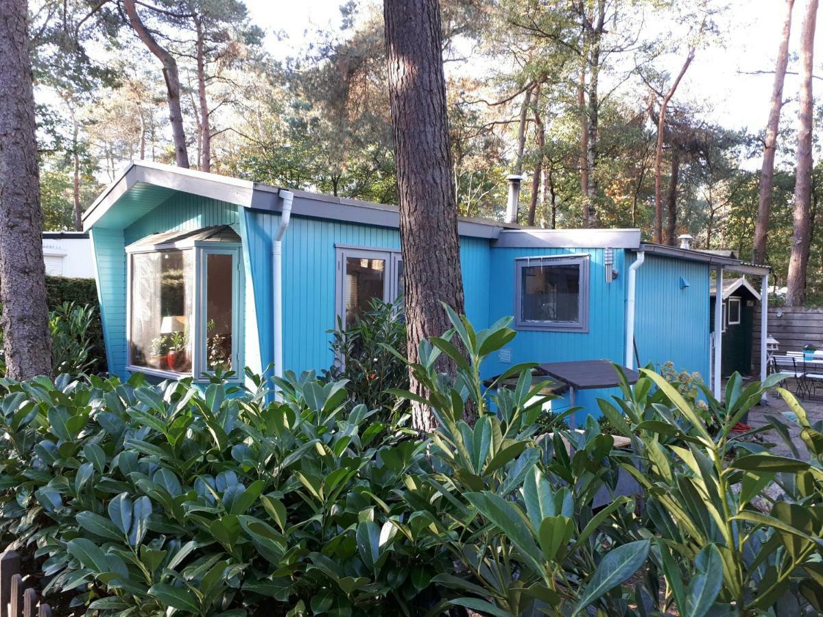 Boshuis Turquoise / Smaakvol Genieten Op De Veluwe 헨덜루 외부 사진