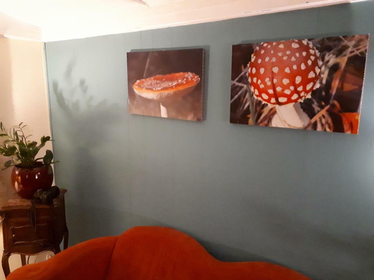 Boshuis Turquoise / Smaakvol Genieten Op De Veluwe 헨덜루 외부 사진