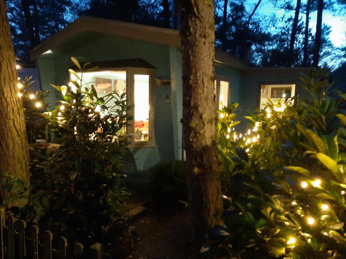 Boshuis Turquoise / Smaakvol Genieten Op De Veluwe 헨덜루 외부 사진